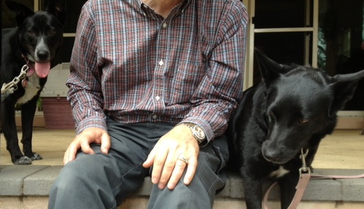 Dad and dogs cropped