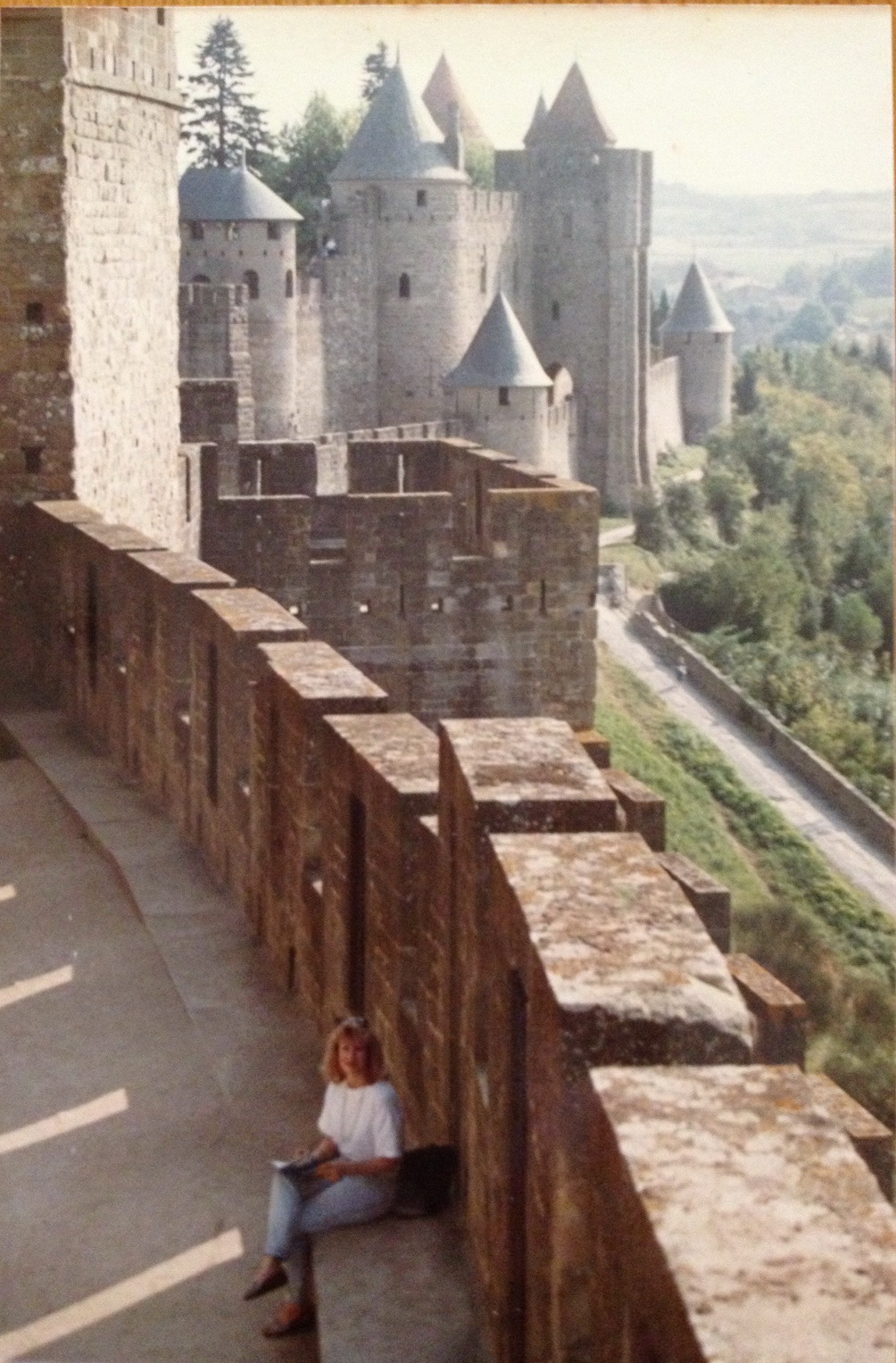Deb Carcassonne cropped